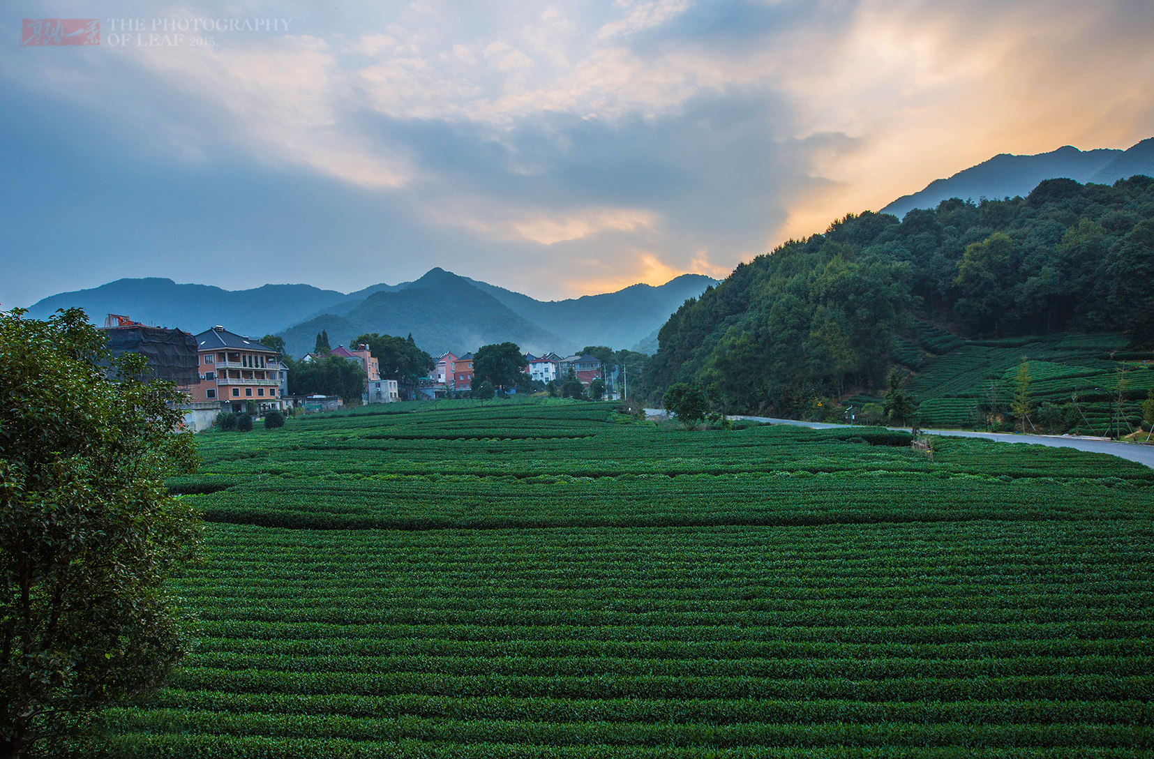 龙坞61九街九街位于龙坞茶镇核心区,是由原工业厂房升级改造为民国
